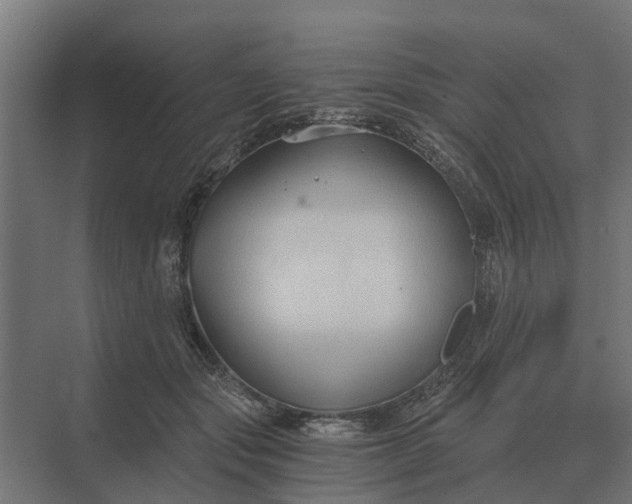 X0000069810557200606021508