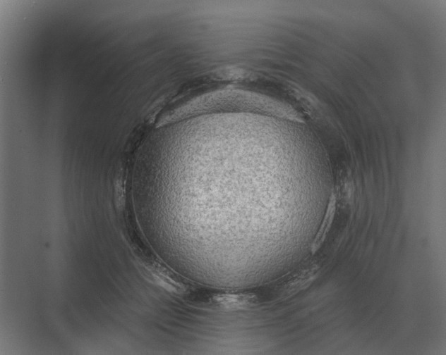 X0000069810558200606021508