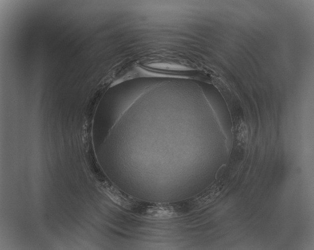 X0000069810559200606021508