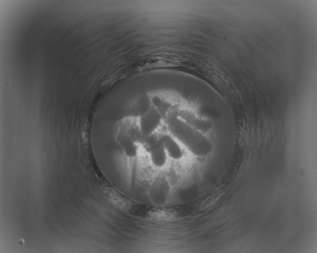 X0000069810561200606021508