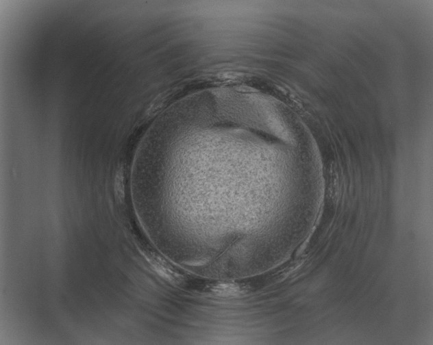 X0000069810562200606021508