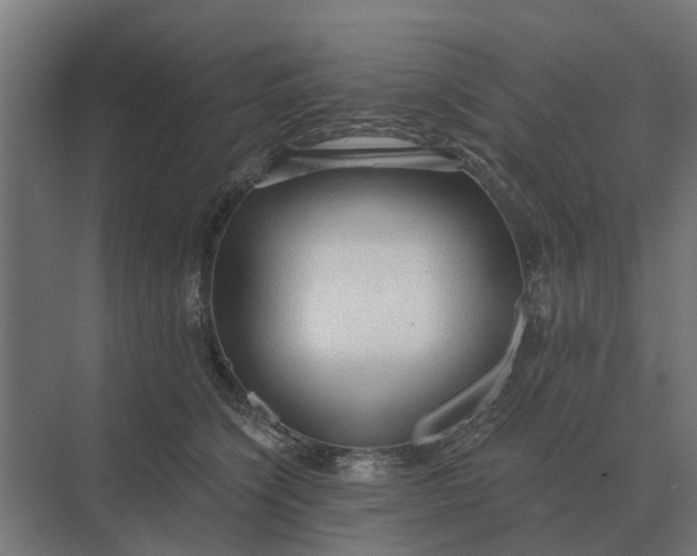 X0000069810564200606021508