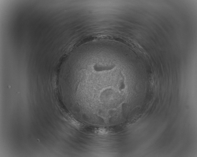 X0000069810565200606021508