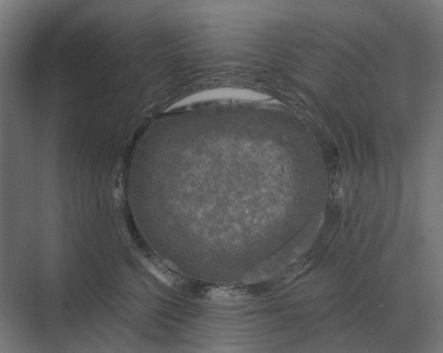 X0000069810568200606021508