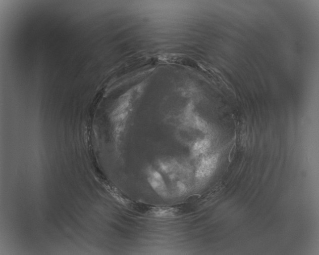 X0000069810569200606021508