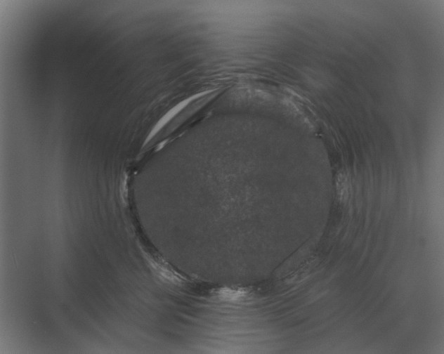 X0000069810570200606021508