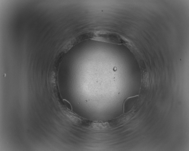 X0000069810571200606021508