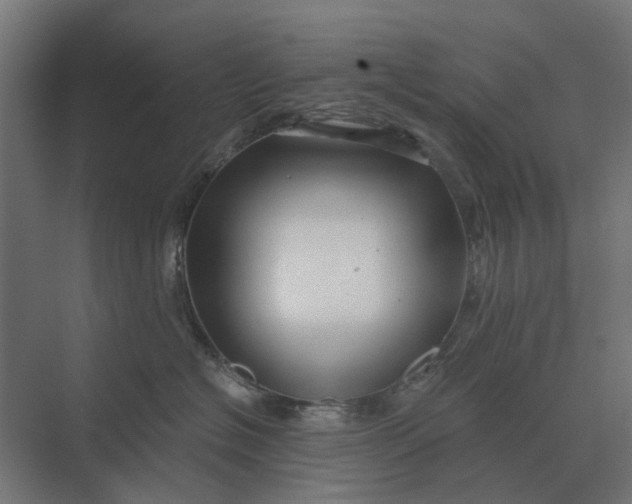 X0000069810574200606021508