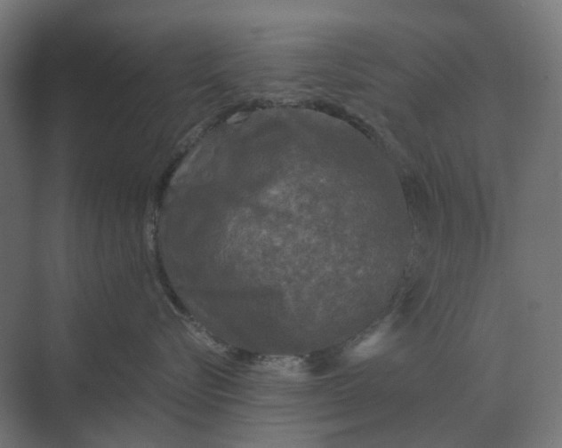 X0000069810576200606021508