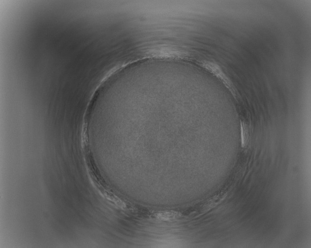 X0000069810579200606021507