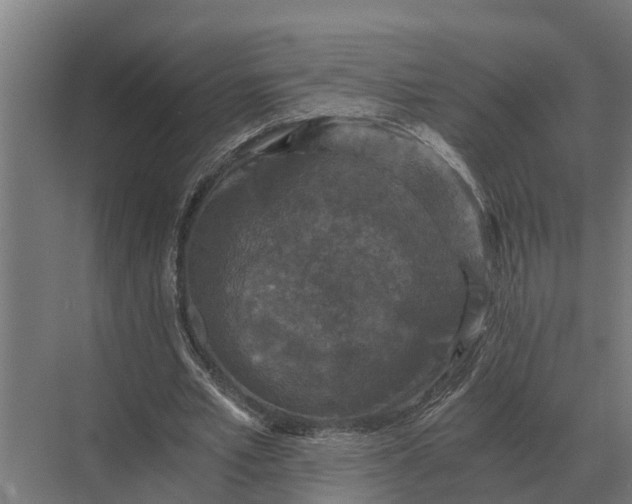 X0000069810581200606021507