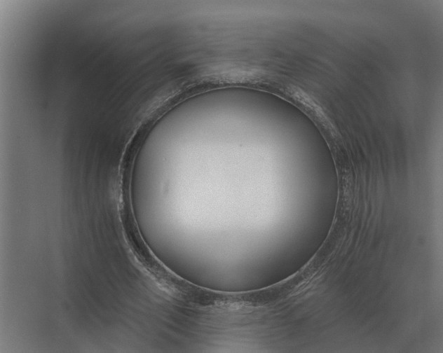 X0000069810582200606021507