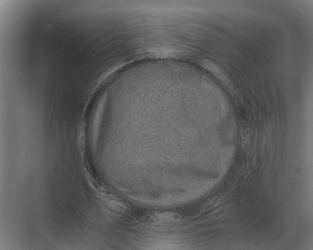 X0000069810583200606021507