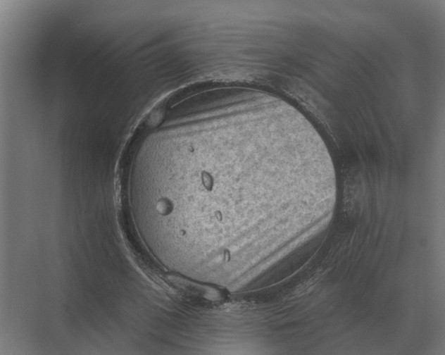 X0000069810584200606021507