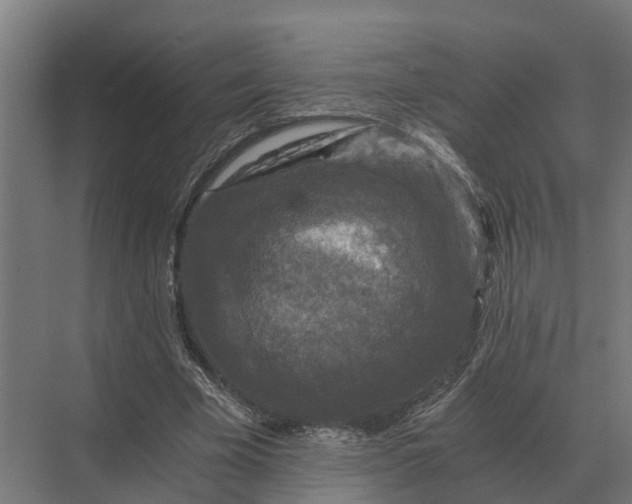 X0000069810585200606021507