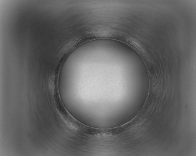 X0000069810586200606021507