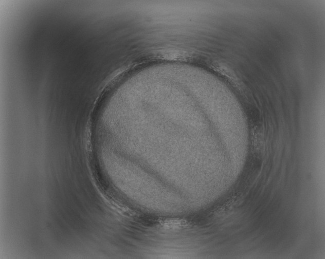 X0000069810587200606021507