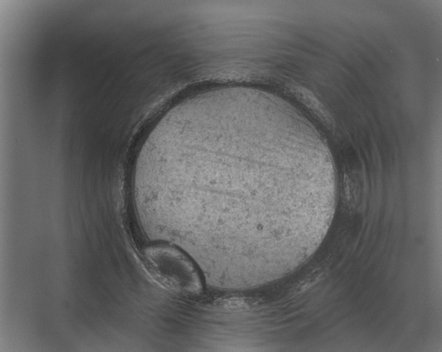 X0000069810588200606021507