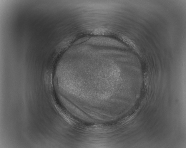 X0000069810589200606021507