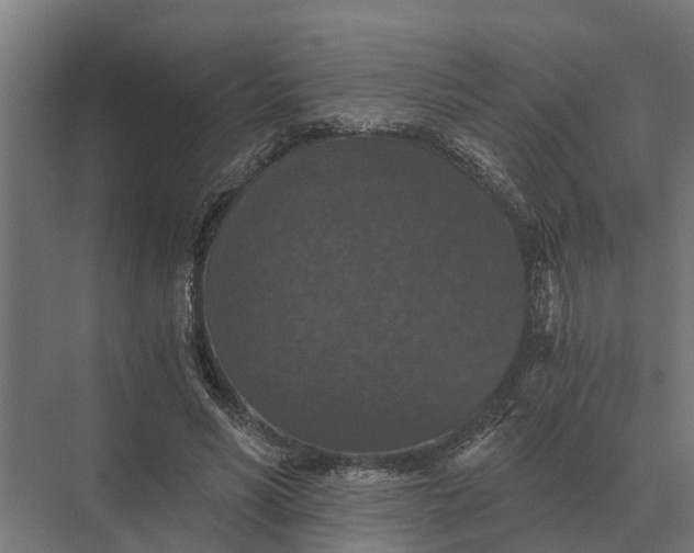 X0000069810590200606021507