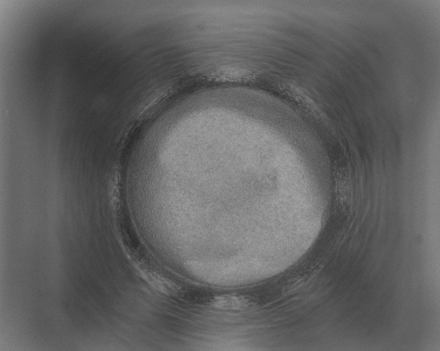 X0000069810591200606021507