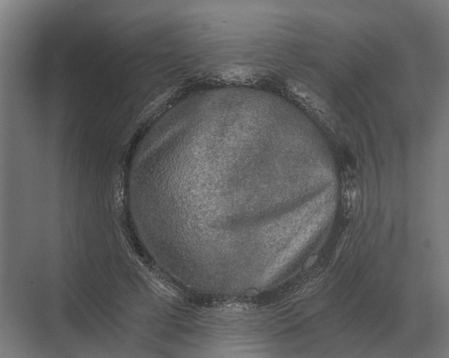 X0000069810593200606021507