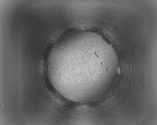 X0000069810594200606021507