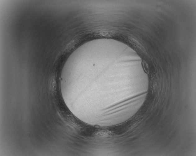 X0000069810595200606021507