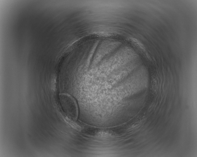 X0000069810596200606021507