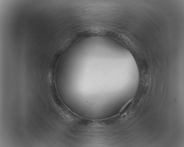 X0000069810597200606021507