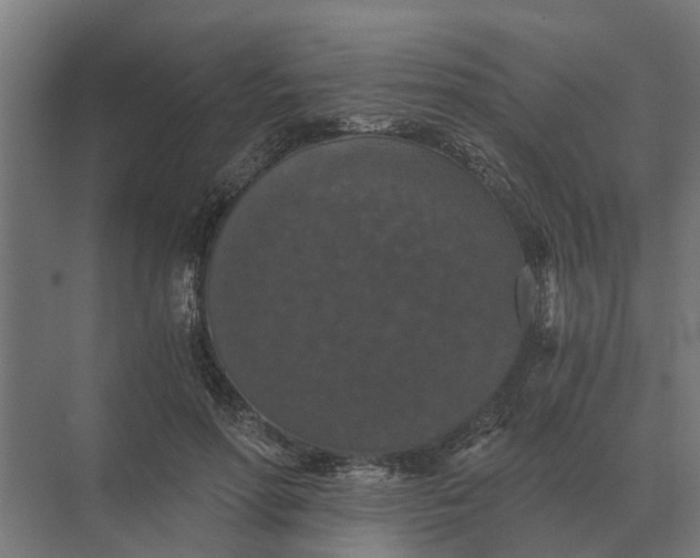 X0000069810598200606021507