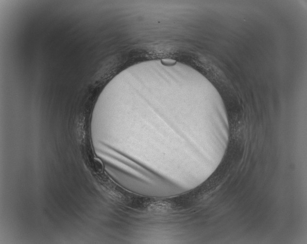 X0000069810599200606021507