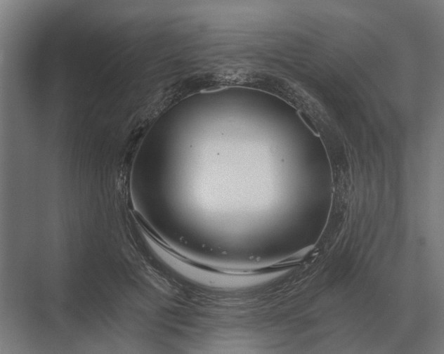 X0000069810601200606021507