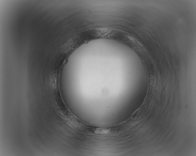 X0000069810602200606021507