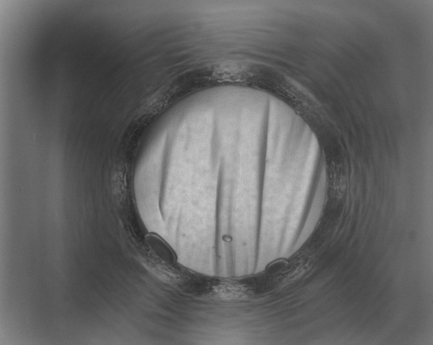 X0000069810603200606021507