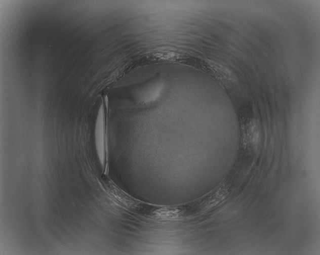 X0000069810606200606021507