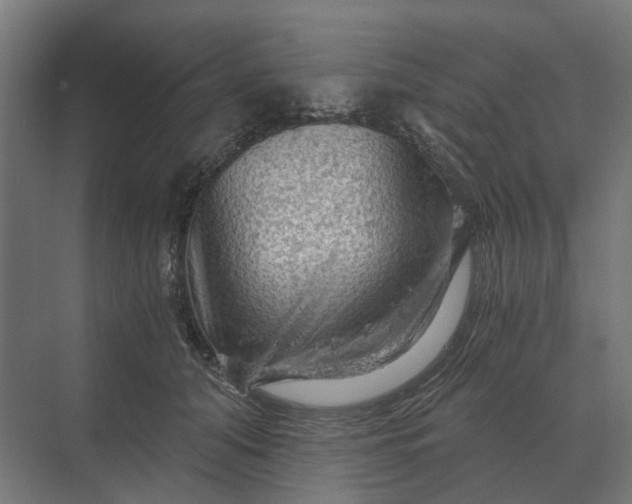 X0000069810608200606021507