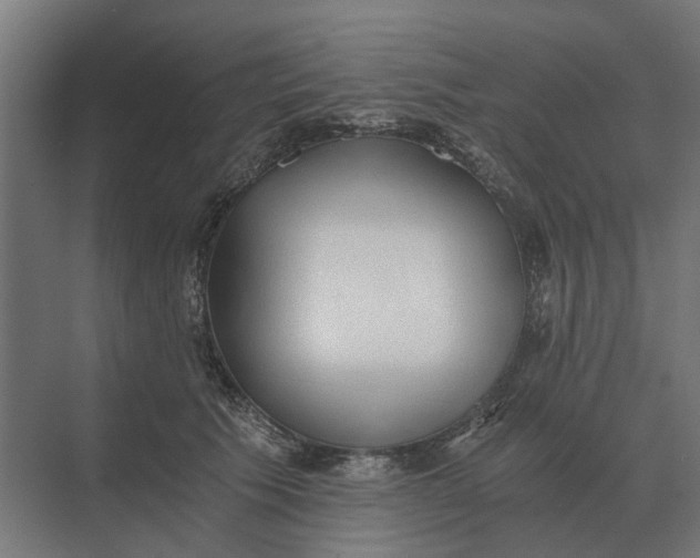 X0000069810609200606021507