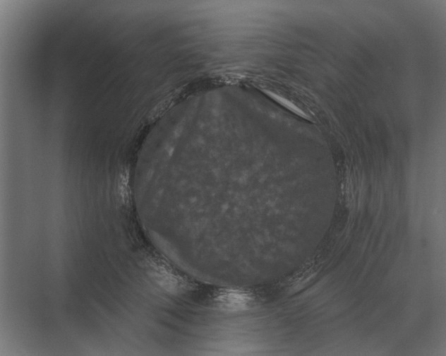 X0000069810610200606021507