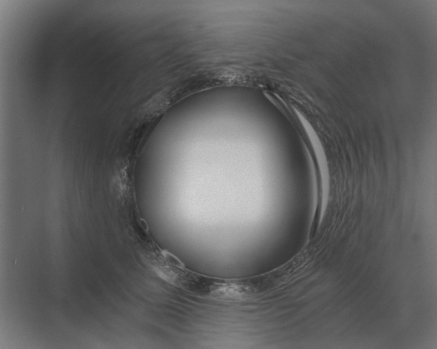 X0000069810611200606021507