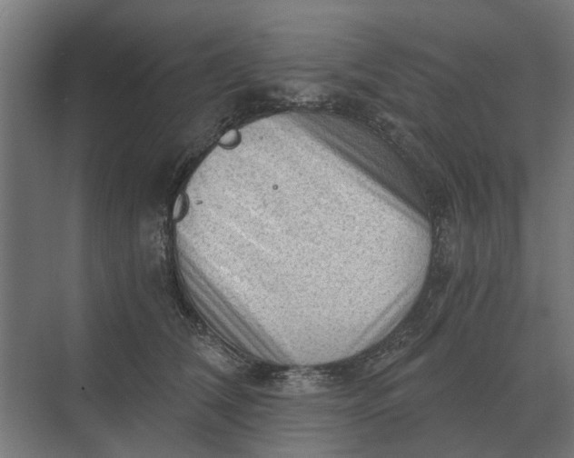 X0000069810612200606021507