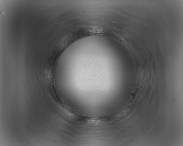 X0000069810614200606021507