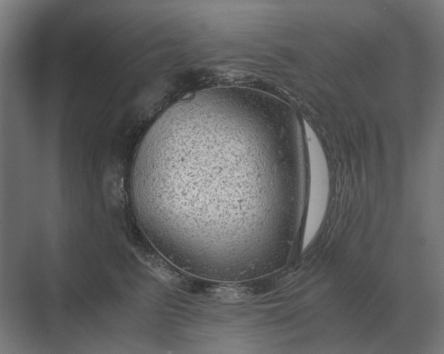 X0000069810615200606021507