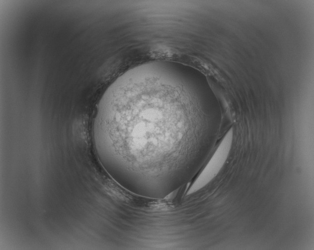 X0000069810616200606021507