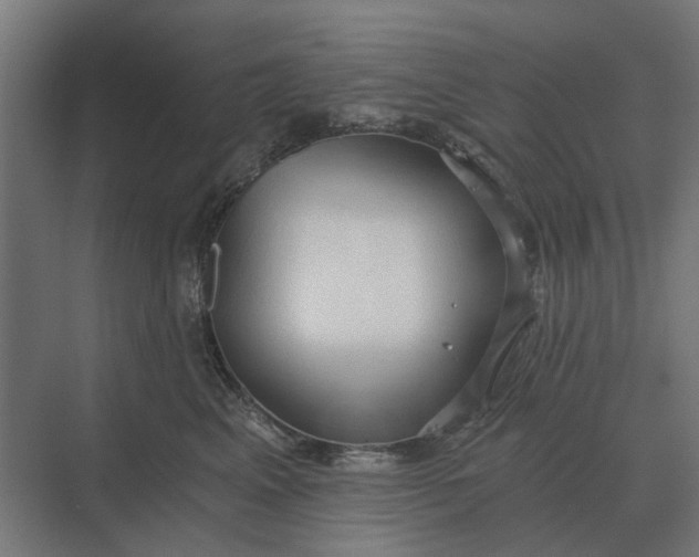 X0000069810617200606021507