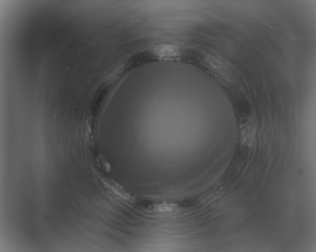 X0000069810618200606021507