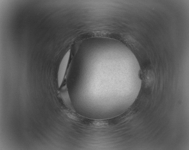 X0000069810619200606021507