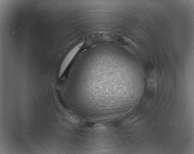 X0000069810620200606021507