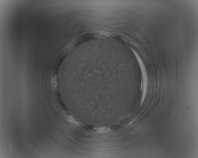 X0000069810621200606021507