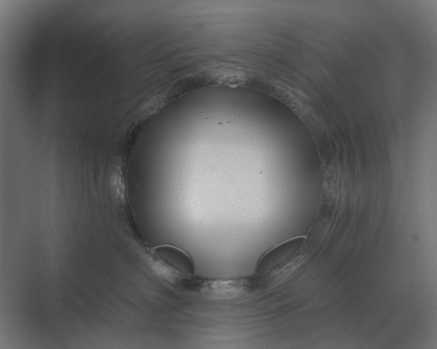 X0000069810622200606021507